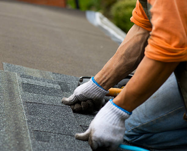 Best Metal Roofing Contractor  in Wolfforth, TX